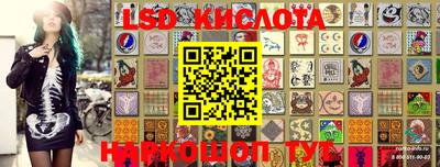 скорость Жуковский