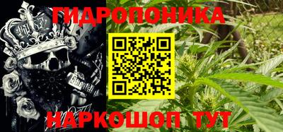 дурь Заводоуковск