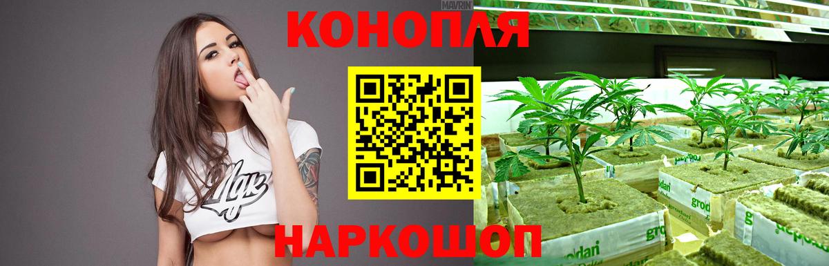 Бошки Шишки AK-47  Канабис план  Шишки марихуана Amnesia  Марихуана индика  Нурлат  Вход с VPN 
